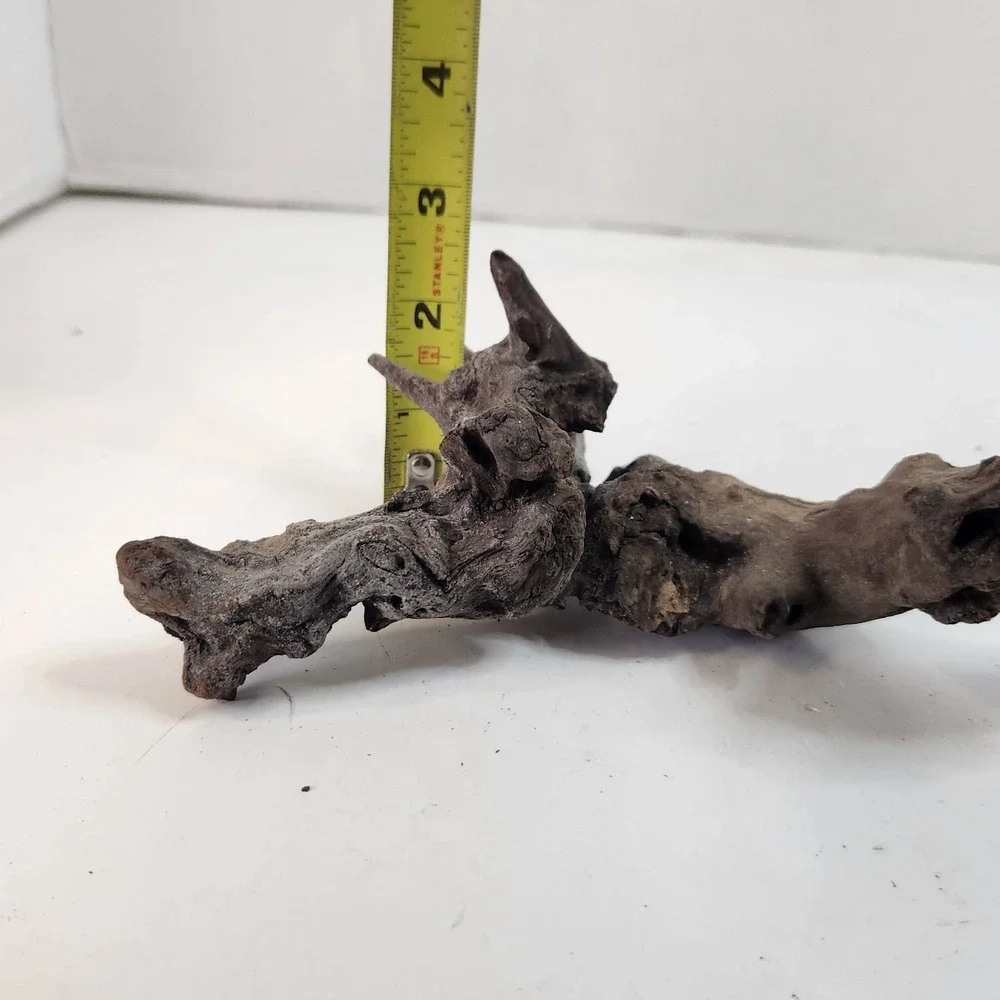 Natural driftwood for aquarium/terrarium/arts and crafts/Taxidermy 12.25